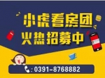 12月焦作房產(chǎn)網(wǎng)小虎免費看房團開(kāi)始報名了